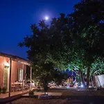 Ailanto * Lygia (Lefkada)