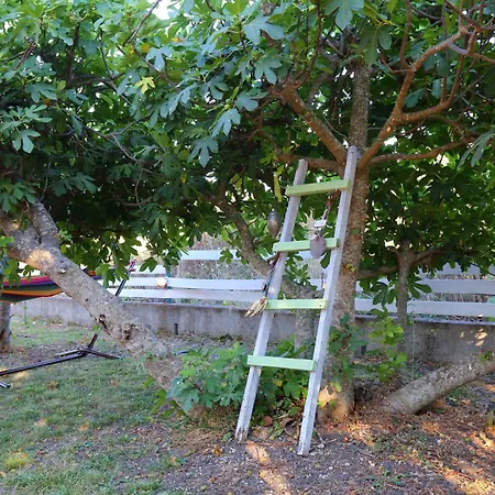 Vakantiehuis Ailanto Lygia (Lefkada)