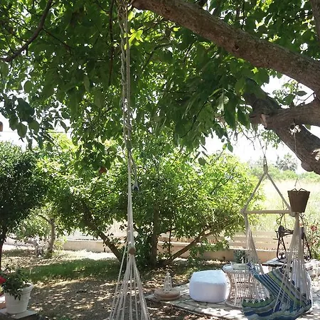 Ailanto Lygia (Lefkada)