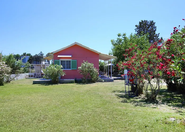 Ailanto * Λυγιά