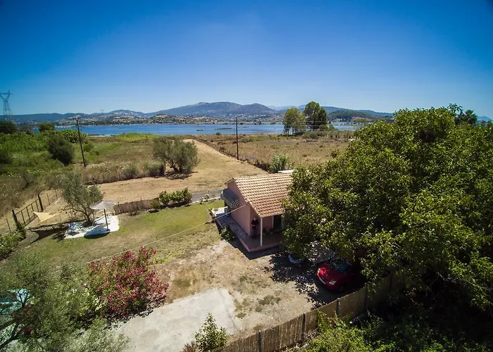 Ailanto * Λυγιά